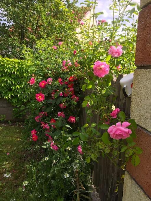 Ferienhaus Mit Garten In Thermennaehe Strebersdorf Exteriér fotografie